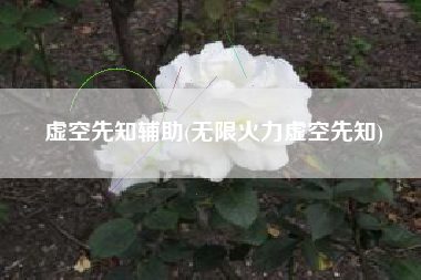 虚空先知辅助(无限火力虚空先知)
