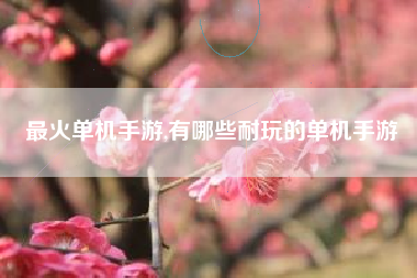最火单机手游,有哪些耐玩的单机手游