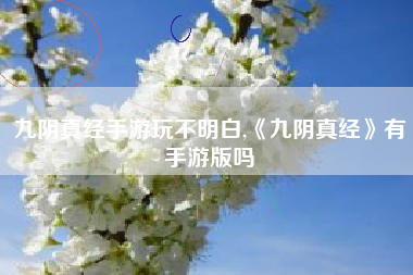 九阴真经手游玩不明白,《九阴真经》有手游版吗