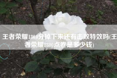 王者荣耀1800分掉下来还有击败特效吗(王者荣耀1800点卷是多少钱)