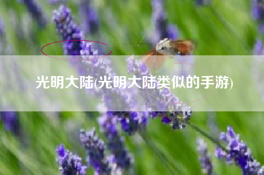 光明大陆(光明大陆类似的手游)
