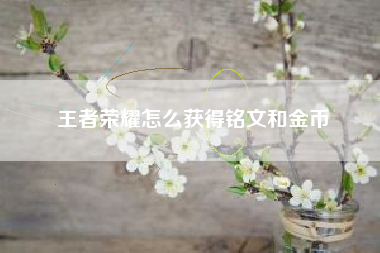 王者荣耀怎么获得铭文和金币