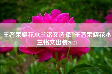 王者荣耀花木兰铭文选择_王者荣耀花木兰铭文出装2021