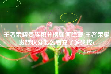 王者荣耀贵族积分榜如何隐藏(王者荣耀贵族积分怎么看充了多少钱)
