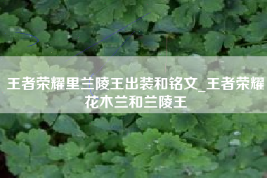 王者荣耀里兰陵王出装和铭文_王者荣耀花木兰和兰陵王