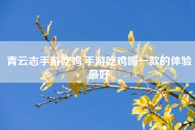 青云志手游吃鸡,手游吃鸡哪一款的体验最好