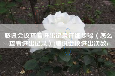 腾讯会议查看进出记录详细步骤（怎么查看进出记录）(腾讯会议进出次数)