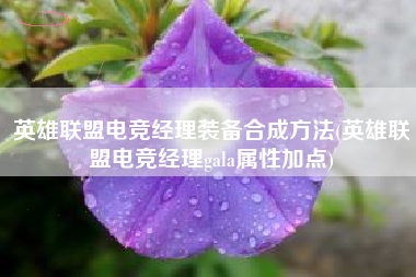 英雄联盟电竞经理装备合成方法(英雄联盟电竞经理gala属性加点)