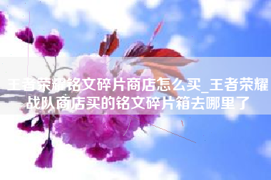王者荣耀铭文碎片商店怎么买_王者荣耀战队商店买的铭文碎片箱去哪里了