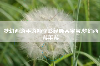 梦幻西游手游狮驼岭经脉吞宝宝,梦幻西游手游