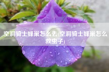 空洞骑士蜂巢怎么去(空洞骑士蜂巢怎么救虫子)
