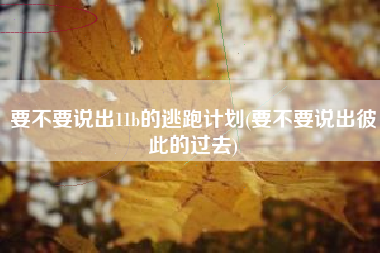 要不要说出11b的逃跑计划(要不要说出彼此的过去)