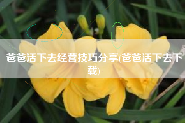 爸爸活下去经营技巧分享(爸爸活下去下载)