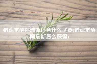 猎魂觉醒阿瑞斯适合什么武器(猎魂觉醒阿瑞斯怎么获得)