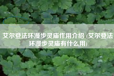 艾尔登法环漫步灵庙作用介绍 (艾尔登法环漫步灵庙有什么用)