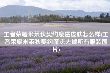 王者荣耀米莱狄契约魔法皮肤怎么样(王者荣耀米莱狄契约魔法去掉所有服装图片)