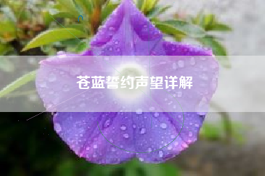 苍蓝誓约声望详解