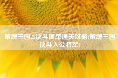 策魂三国25决斗简单通关攻略(策魂三国决斗人公将军)