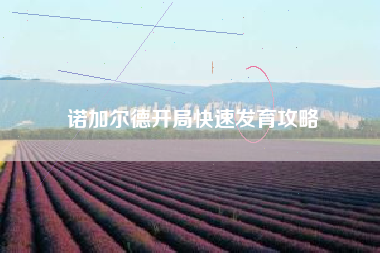 诺加尔德开局快速发育攻略