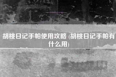 胡桃日记手帕使用攻略 (胡桃日记手帕有什么用)