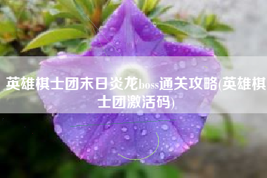 英雄棋士团末日炎龙boss通关攻略(英雄棋士团激活码)