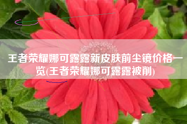 王者荣耀娜可露露新皮肤前尘镜价格一览(王者荣耀娜可露露被削)