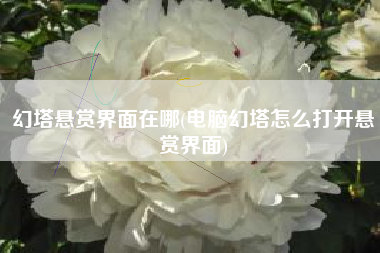 幻塔悬赏界面在哪(电脑幻塔怎么打开悬赏界面)