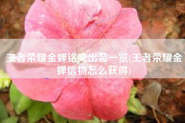王者荣耀金蝉铭文出装一览(王者荣耀金蝉信物怎么获得)