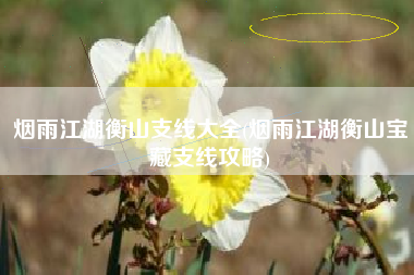 烟雨江湖衡山支线大全(烟雨江湖衡山宝藏支线攻略)
