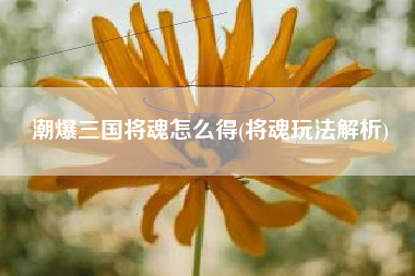 潮爆三国将魂怎么得(将魂玩法解析)