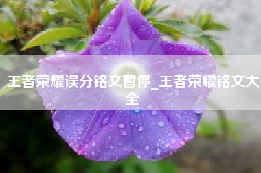 王者荣耀误分铭文暂停_王者荣耀铭文大全