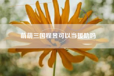 萌萌三国程昱可以当援助吗