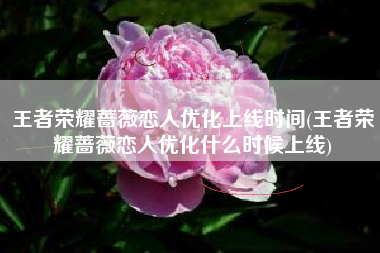 王者荣耀蔷薇恋人优化上线时间(王者荣耀蔷薇恋人优化什么时候上线)
