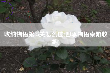 收纳物语第35关怎么过(四季物语桌游收纳)