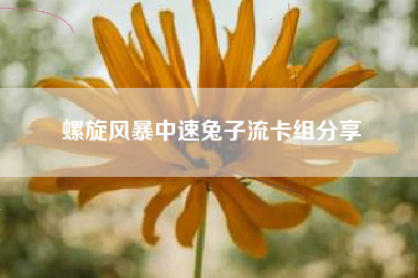 螺旋风暴中速兔子流卡组分享