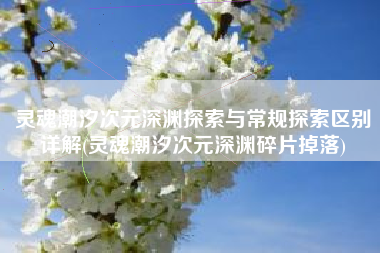 灵魂潮汐次元深渊探索与常规探索区别详解(灵魂潮汐次元深渊碎片掉落)