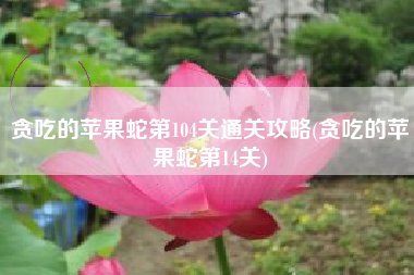 贪吃的苹果蛇第104关通关攻略(贪吃的苹果蛇第14关)
