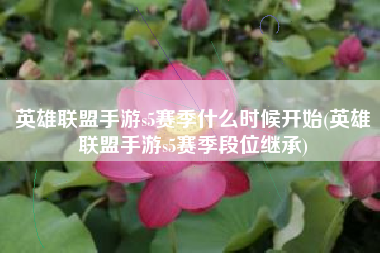 英雄联盟手游s5赛季什么时候开始(英雄联盟手游s5赛季段位继承)