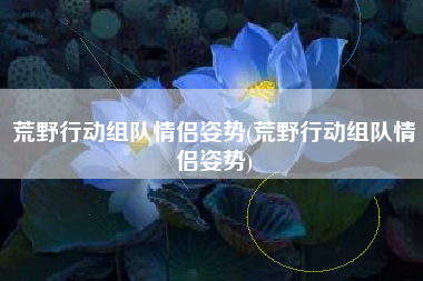 荒野行动组队情侣姿势(荒野行动组队情侣姿势)