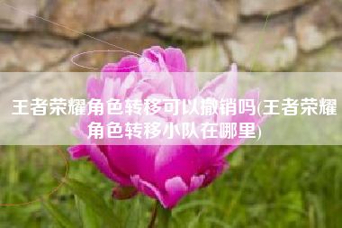 王者荣耀角色转移可以撤销吗(王者荣耀角色转移小队在哪里)