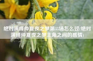 绝对演绎仲夏夜之梦第35场怎么过(绝对演绎仲夏夜之梦主角之间的感情)