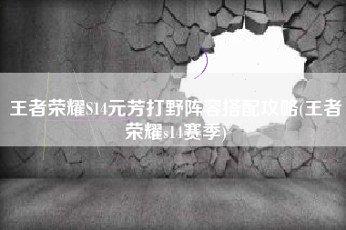王者荣耀S14元芳打野阵容搭配攻略(王者荣耀s14赛季)