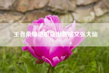 王者荣耀铠职业出装铭文张大仙