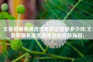 王者荣耀裴擒虎虎年限定皮肤多少钱(王者荣耀裴擒虎虎年限定皮肤海报)