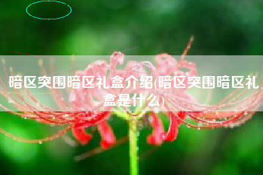 暗区突围暗区礼盒介绍(暗区突围暗区礼盒是什么)