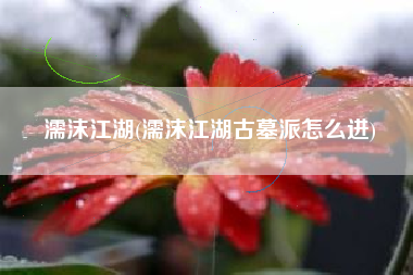 濡沫江湖(濡沫江湖古墓派怎么进)
