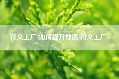 符文工厂5如何提升地质(符文工厂4)
