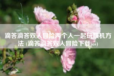 滴答滴答双人冒险两个人一起玩联机方法 (滴答滴答双人冒险下载ios)