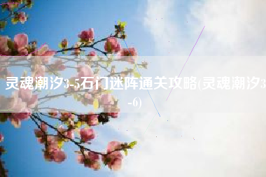 灵魂潮汐3-5石门迷阵通关攻略(灵魂潮汐3-6)