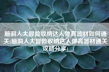 脑洞人大冒险收纳达人体育器材如何通关(脑洞人大冒险收纳达人体育器材通关攻略分享)